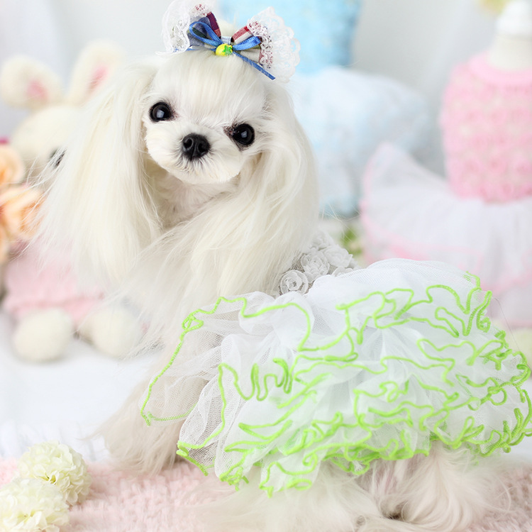 清仓棒棒糖 春夏新款 花朵公主蓬蓬裙 泰迪宠物狗狗春装衣服