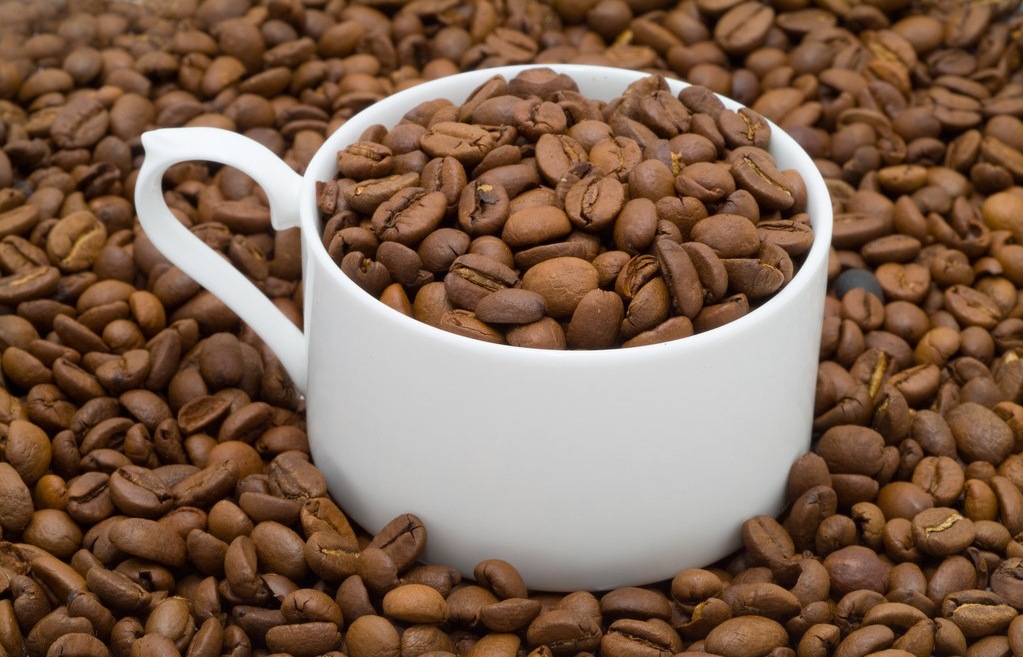 厂家供应优质纯天然可可提取物 可可碱10:1 天然提取 量大从优