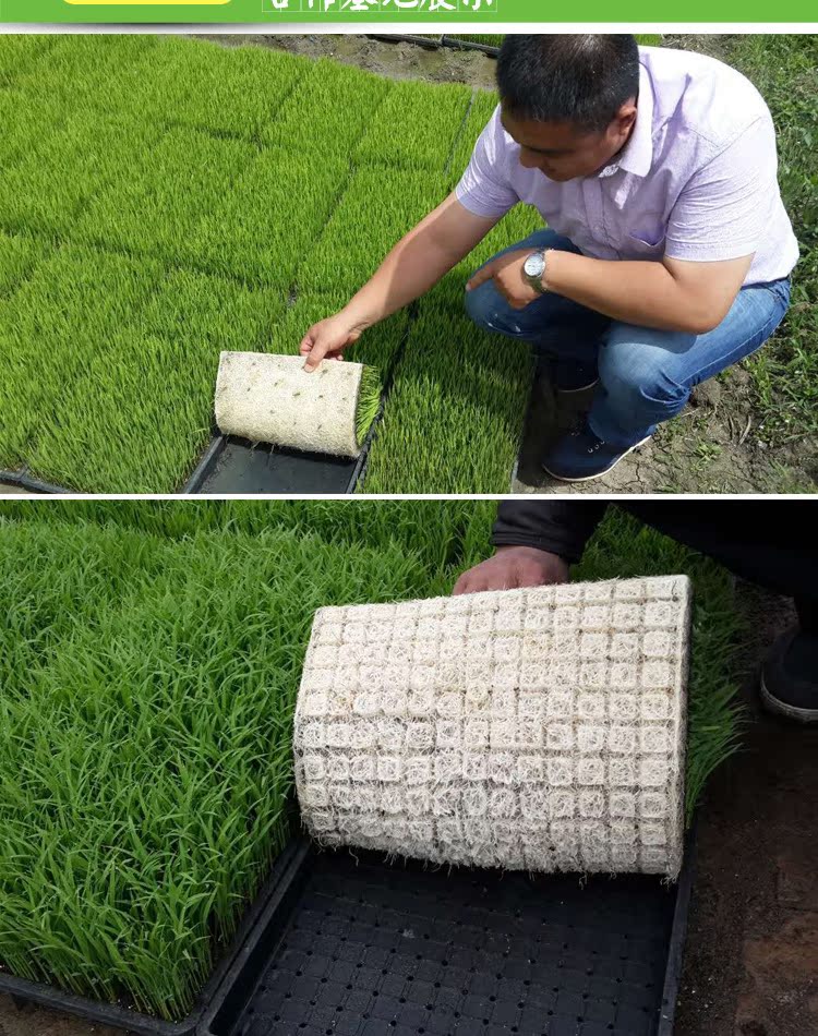 【厂家生产水稻育苗基质有机多肉营养土栽培营养土有机肥泥炭多肉土】价格,厂家,图片-中国网库