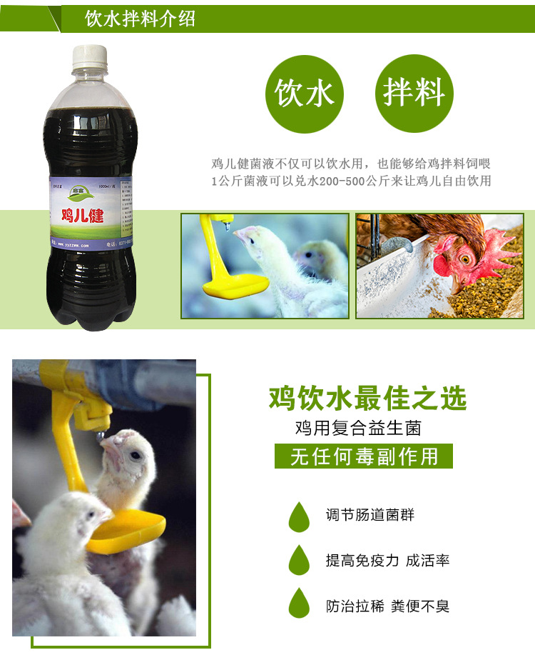 鸡饮水EM菌液