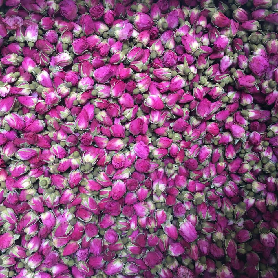 批发供应 玫瑰花 山东平阴玫瑰花茶 玫瑰花茶 玫瑰王 产地供应