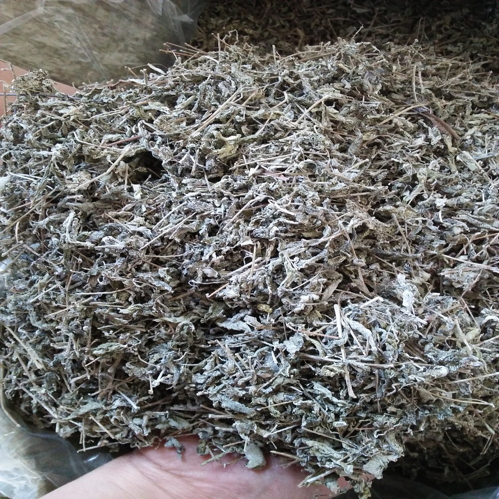 厂家批发直销野生 嫩叶底柔软 富硒藤茶 莓茶芽尖苦甘露养生茶