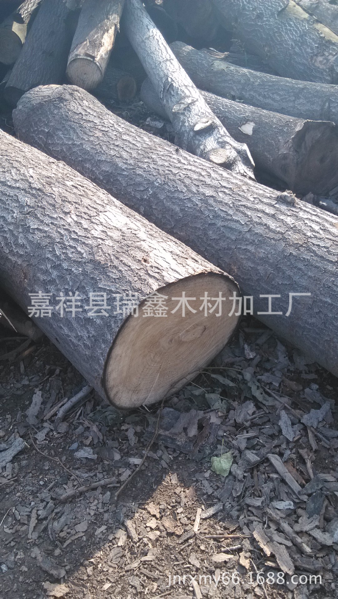 水桐木