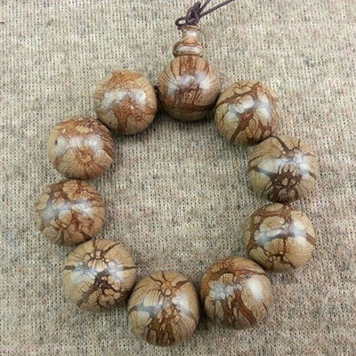 工厂批发 九龙仙腾 蜘蛛纹佛珠手串链降龙木中药 纯野生西瓜纹