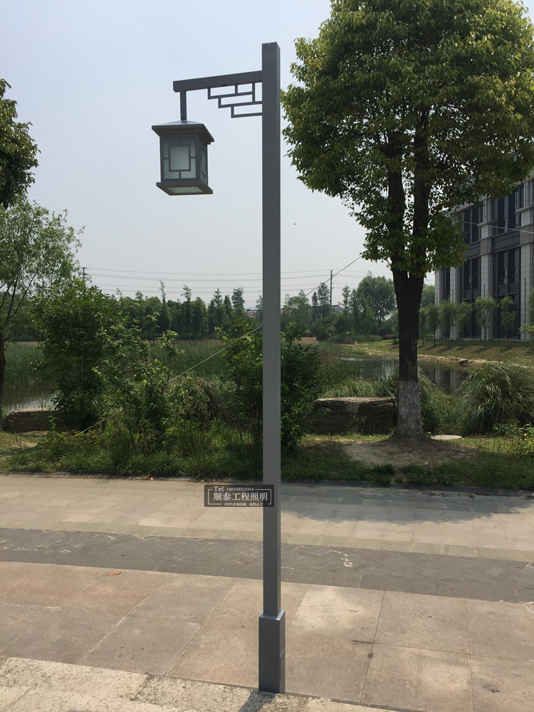 仿古中式庭院灯3米3.5米景观灯小区道路户外灯路灯2头灯具