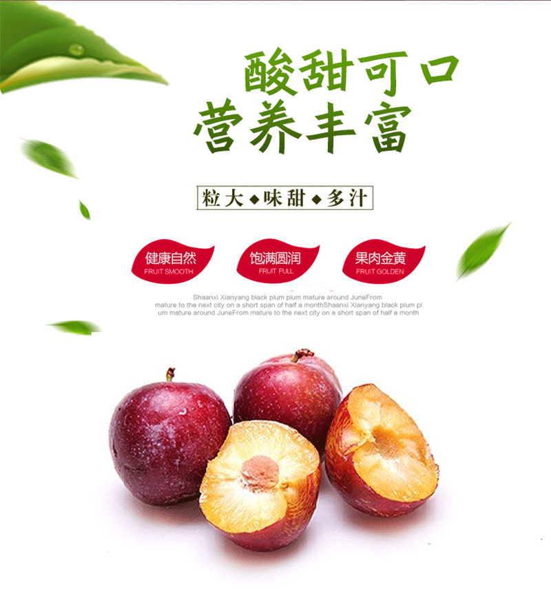 四川 清脆爽口脆李500g脱骨李子脆红李子新鲜水果现摘 厂家直销
