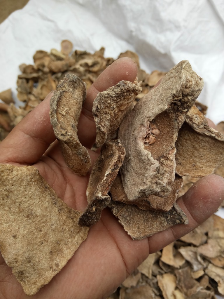 问心堂药业促销供应中药材魔芋 蛇六谷 鬼芋一件起批