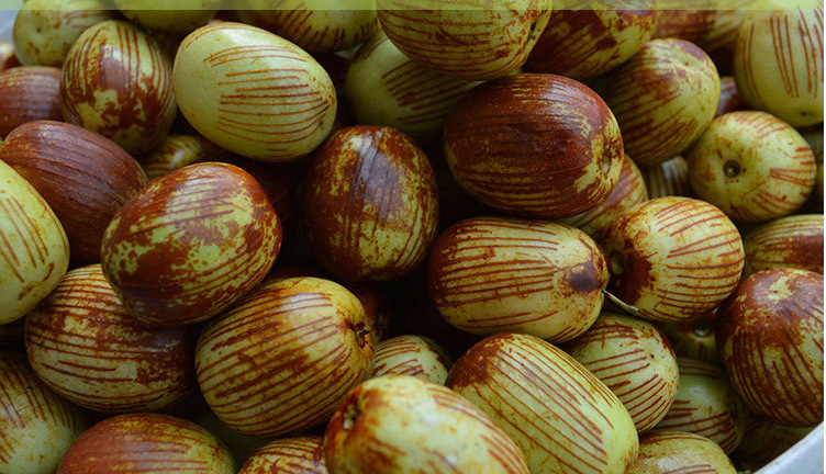 沁园果义乌土特产精选蜜枣500g批发