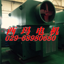 YL5603-6 1400KW与YL5004-12 400KW/电机检修