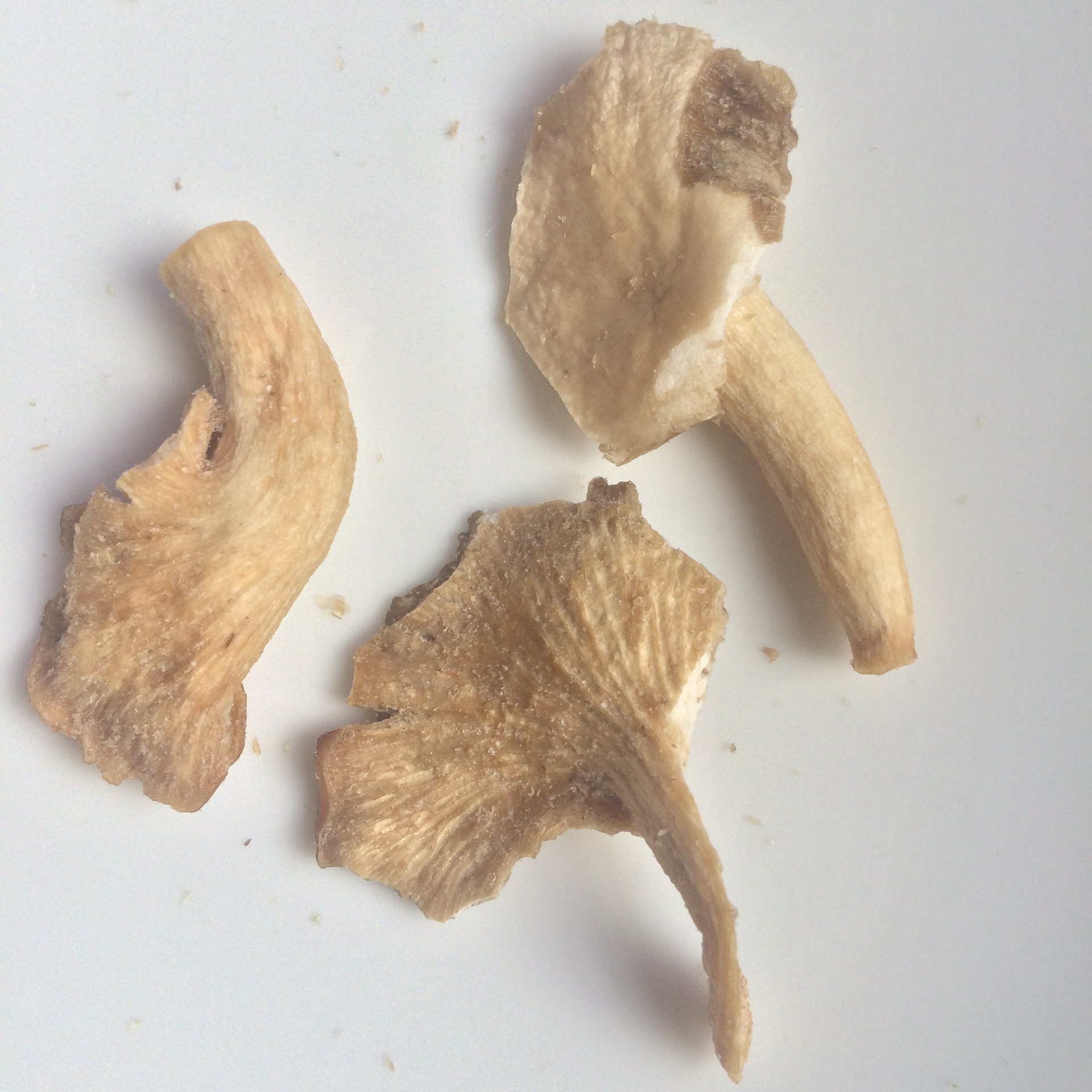 即食秀珍菇脆凤尾菇干散装批发原味和香辣两种口味可选