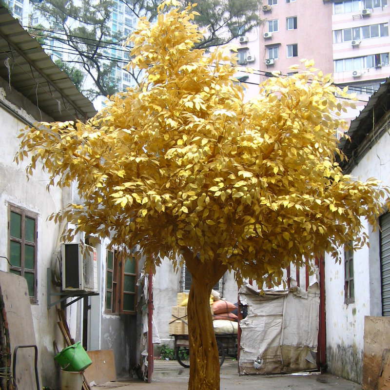 制作盆景或盆栽于室内亦很别致5重阳木落叶或半常绿乔木,树冠卵圆形至