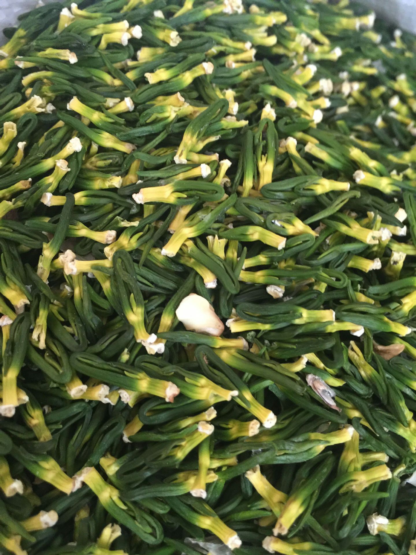 罐装莲子芯 莲子心花茶 优质养生明目200克罐装 清火去热花草茶-香菇