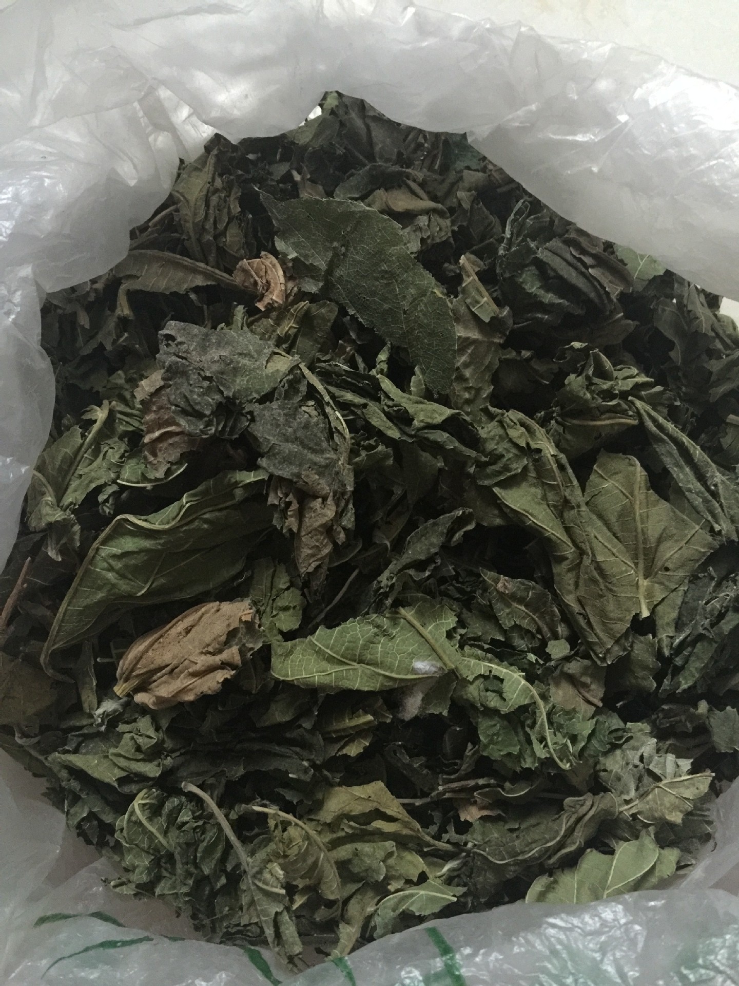 植物原药材优质无杂 桑叶 霜桑叶 色无污染 可打粉代加工小包装
