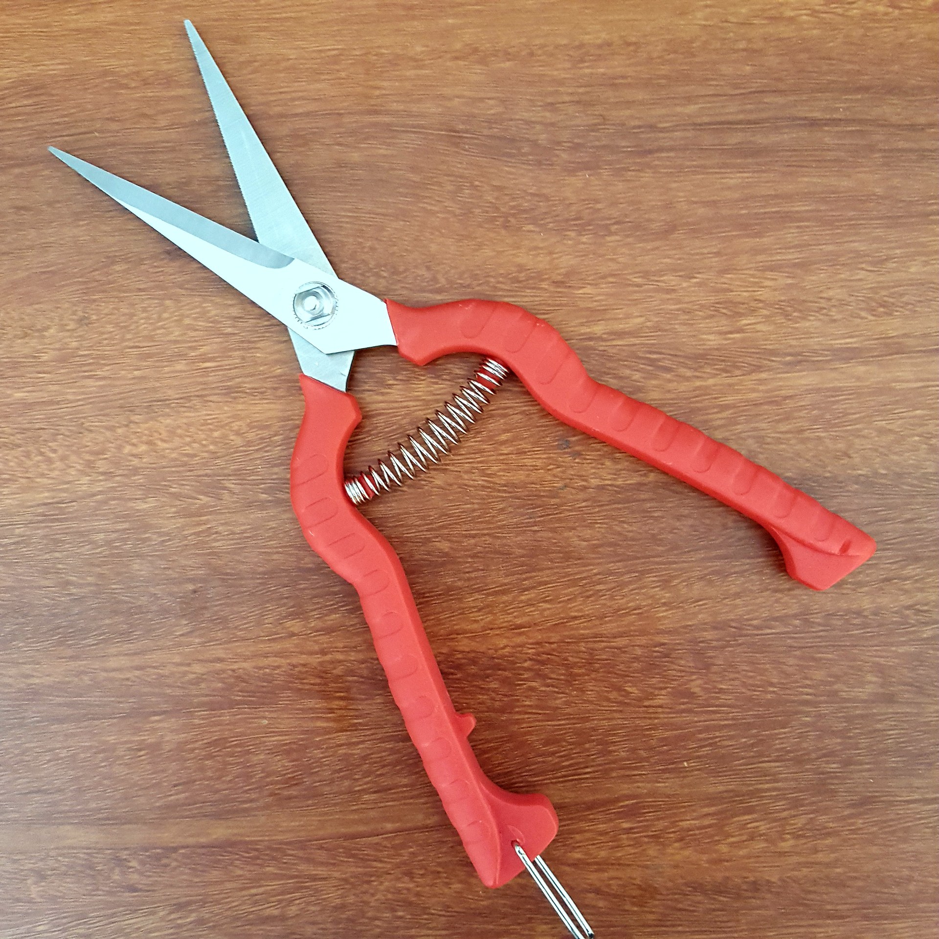 佐川田不锈钢摘果稀果剪黑枸杞子疏花葡萄采摘剪刀加长园艺剪枝剪