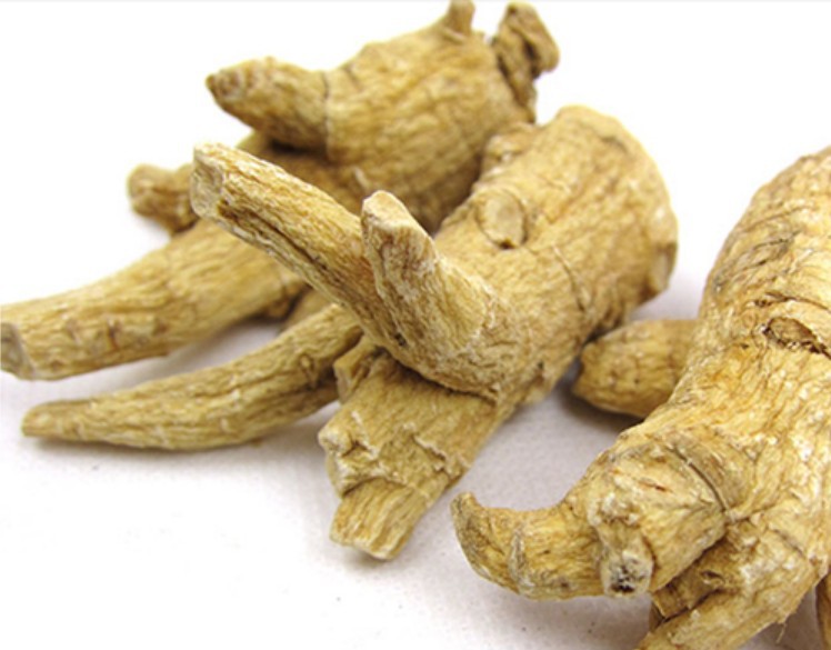 东北特产原产地批发西洋参段软枝散装6年参龄