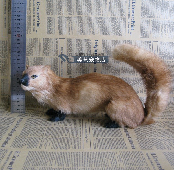 求购黄鼠狼