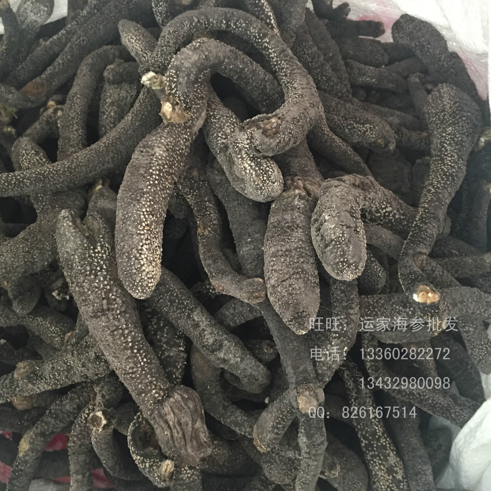 电白海参批发 黑花蛇参白花蛇参海参干货批发15头肉厚发量高