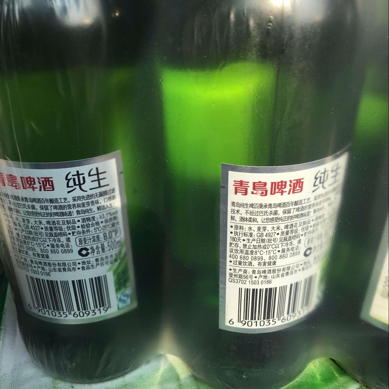 商超餐饮啤酒专供 瓶装 青岛纯生啤酒1-12瓶-500毫升 量大从优