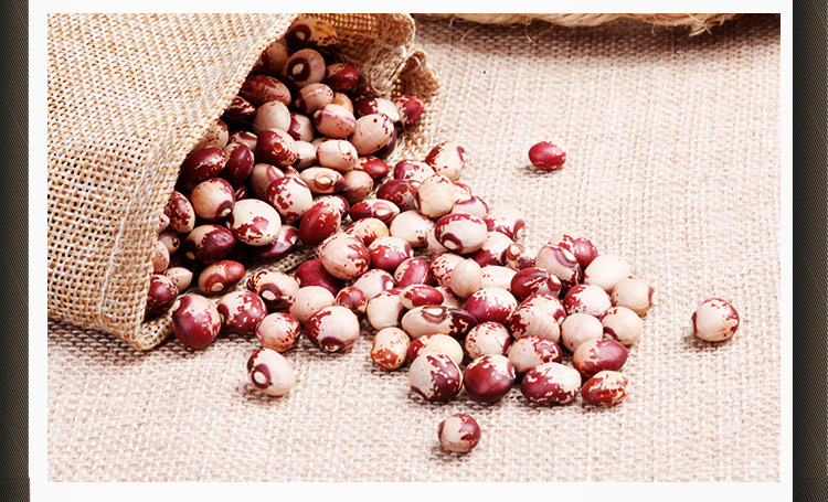 首页 蔬菜 豆菜类 花豆 >贵州小奶花 圆奶花豆