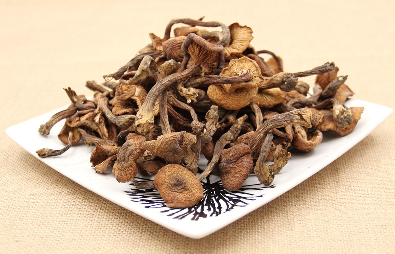 野生榛蘑东北特产 长白山蘑菇干货 小鸡炖榛蘑产地新货批发250g