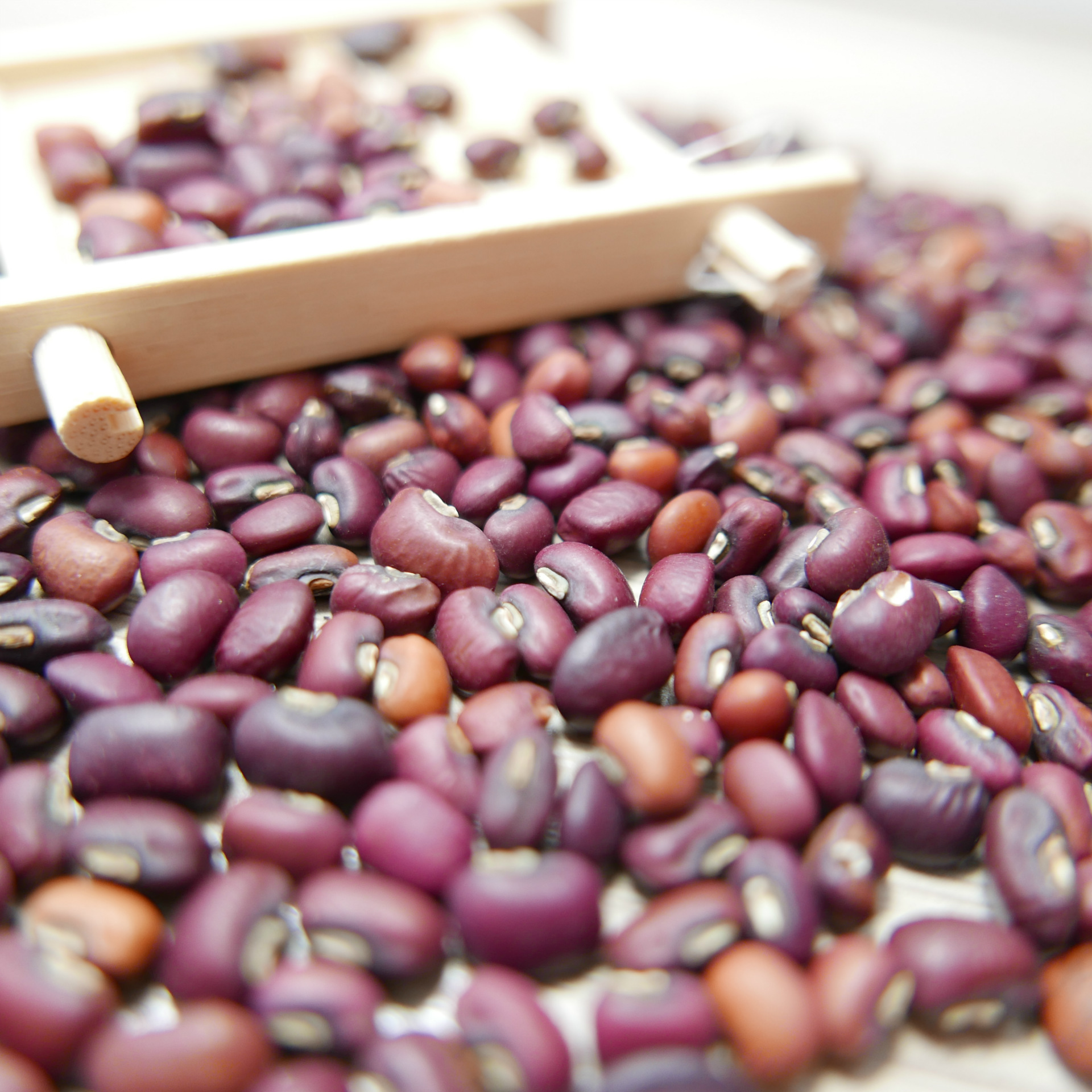 厂家 商品2020新货手选粒大饱满红豇豆豇豆粒散批