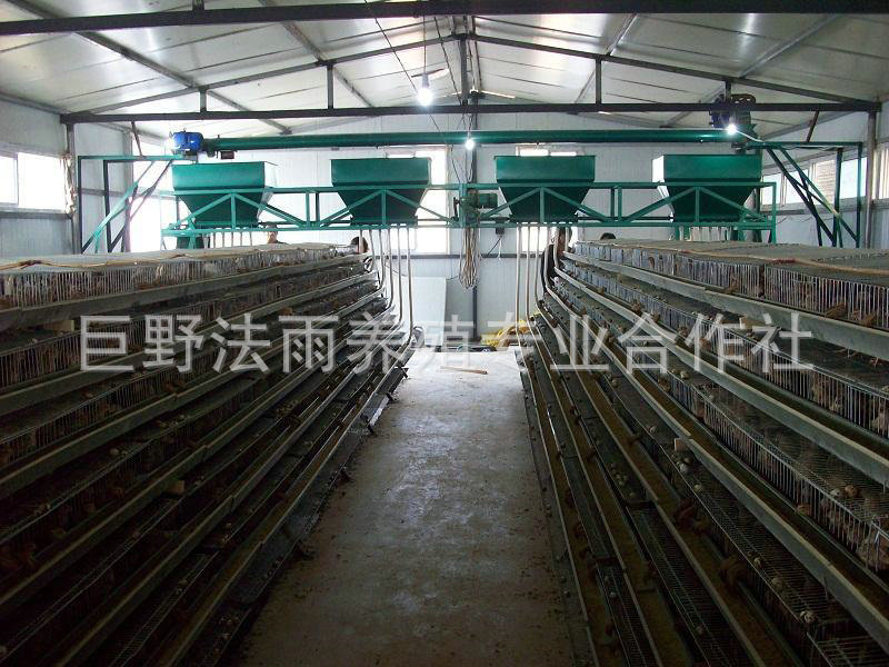 长期供应 猪用自动喂料机 养鸡自动喂料机投料机 自动上料机