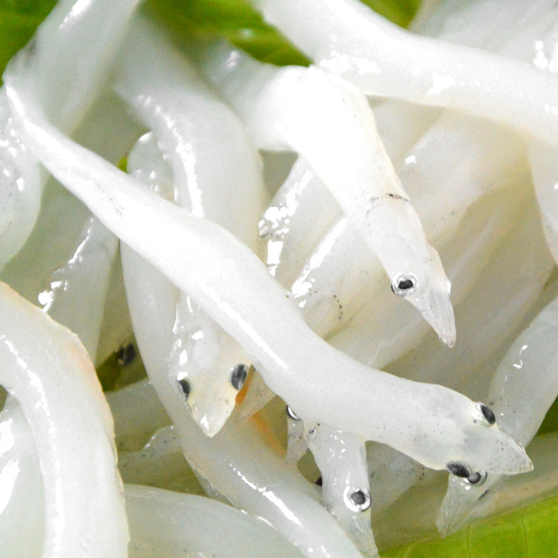 厂家直销 冷冻野生银鱼 鸭绿江面条鱼食材批发