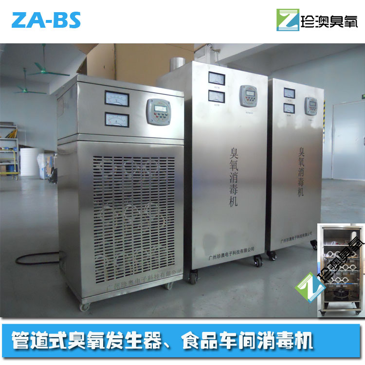 臭氧发生器食品杀菌设备 臭氧消毒机 杀菌设备消毒机30g臭氧机