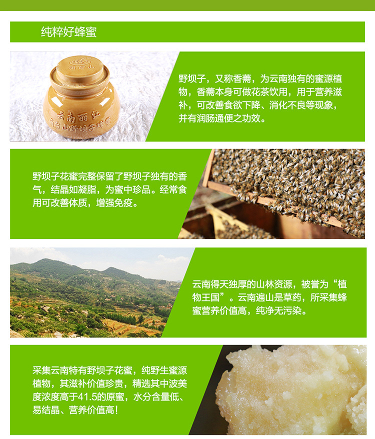云南丽江雨台山野坝子花蜂蜜正宗生态土蜂蜜 绿色食品礼盒精装