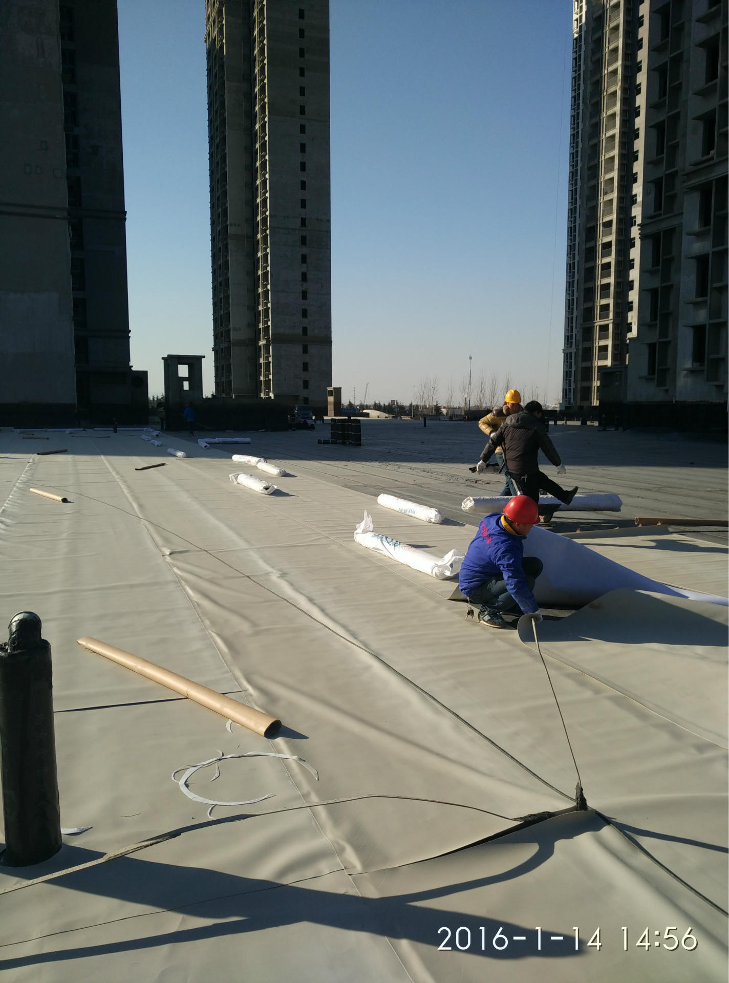 种植屋面pvc耐根穿刺防水卷材 环保防水聚氯乙烯防水材料①植物种植层