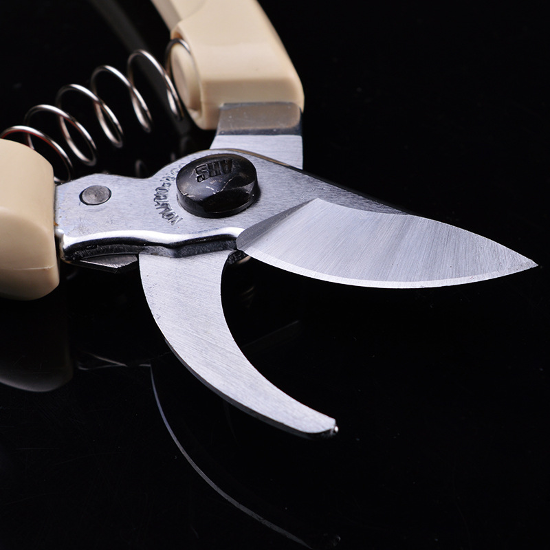 日本爱丽丝130中文包装园林剪刀 园林工具园艺修枝剪 临沂五金