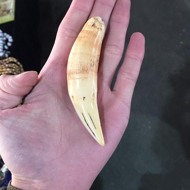 批发古董地摊文玩古玩精美天然骨粉合成复古仿熊牙 仿虎牙吊坠