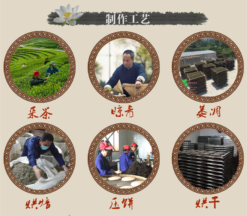 福鼎白茶寿眉沱茶纯手工罐装礼盒沱茶巧克力龙珠30粒厂家直销
