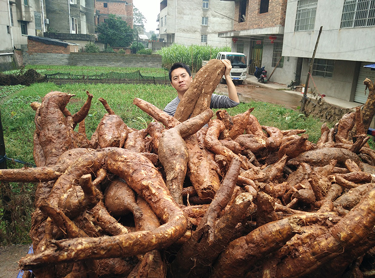 野生葛根粉 老柴葛粉代餐粉***正品也有葛片 散装 可一件.