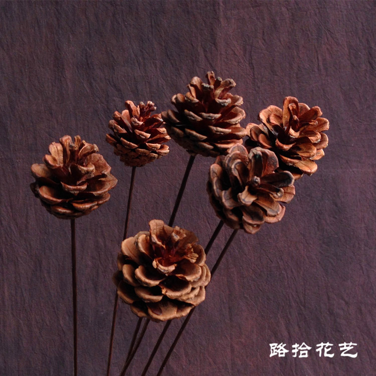 家居装饰禅意艺术拍摄道具天然手工diy松球摆件原生态松果干花