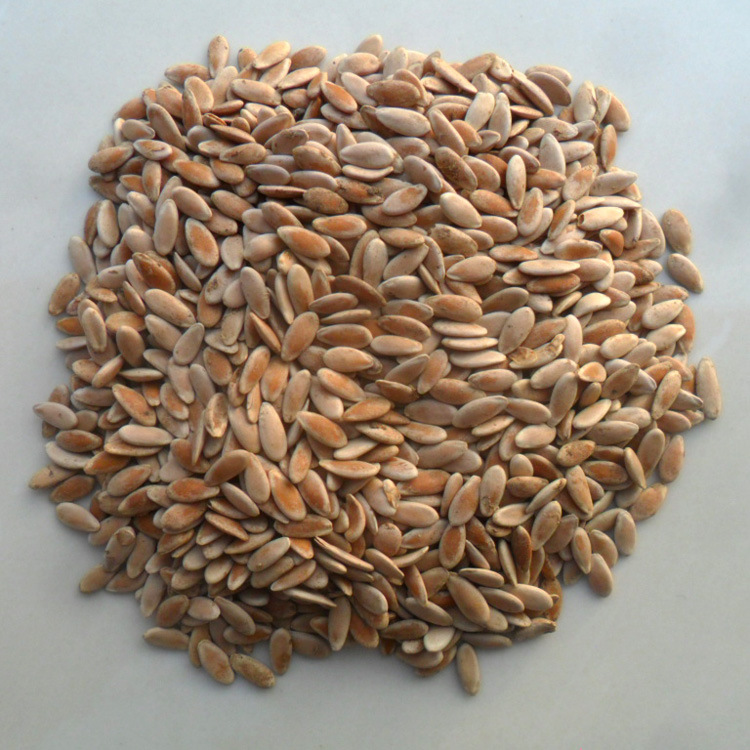甜瓜籽_散装批发 甜瓜子 甜瓜籽 香瓜子 代加工粉