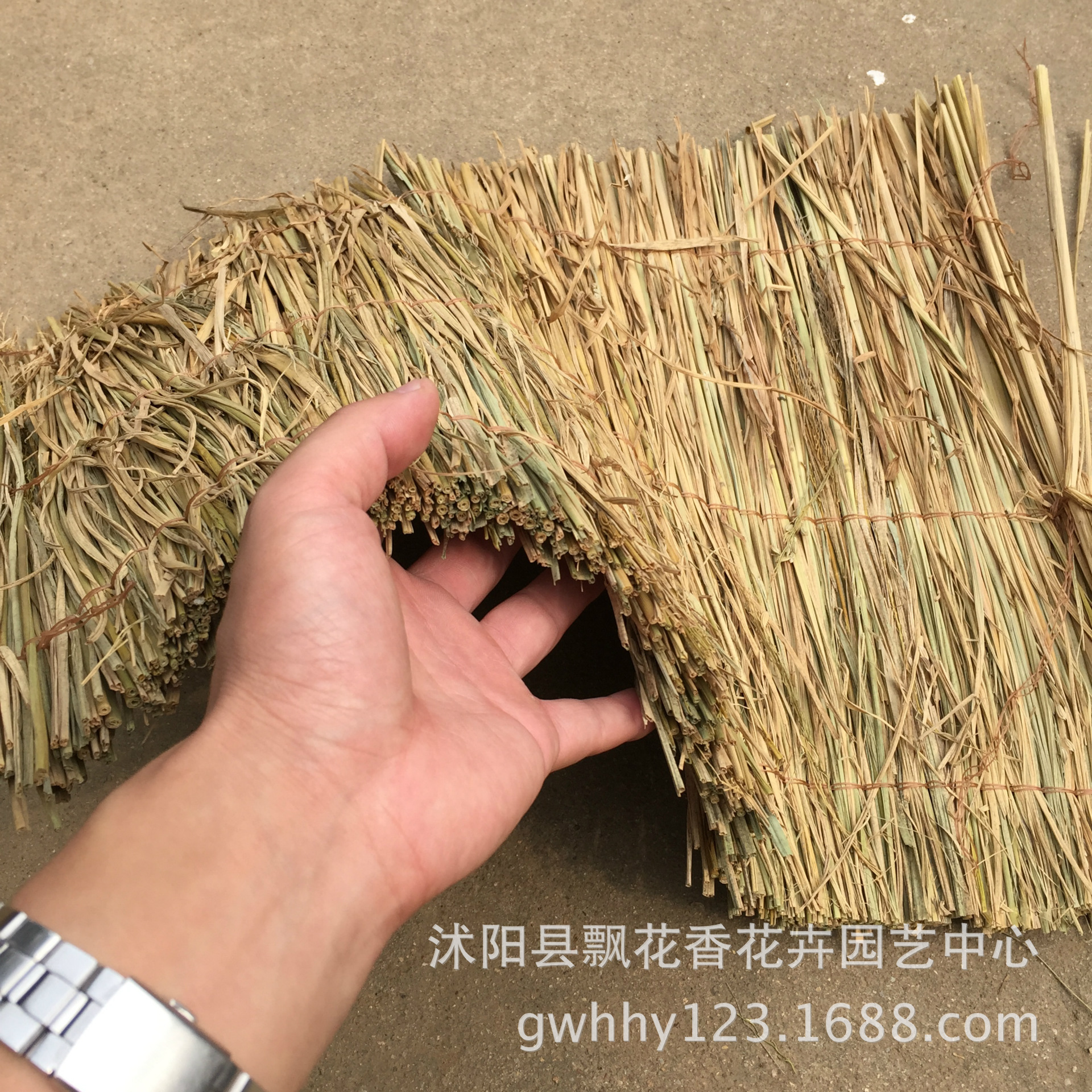 批发稻草帘 草帘子草苫子草帘草席公路养护冬季大棚保温