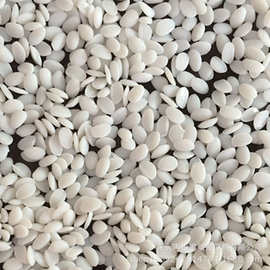 批发透明填充料  hdpe填充料 填充母粒直销厂家