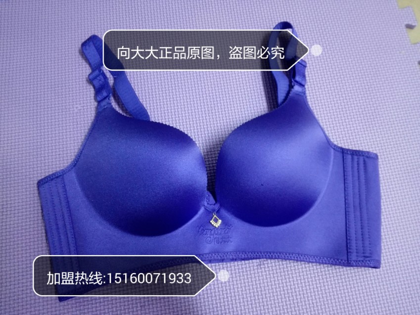 向大大内衣正品厦门华博基尼内衣无钢圈无痕聚拢薄款内衣文胸