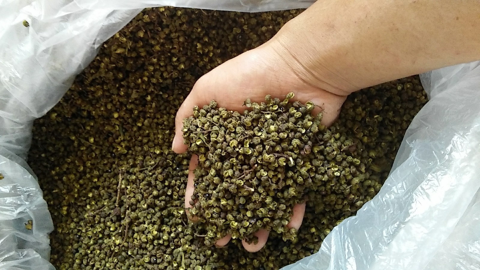 九月青干花椒一级