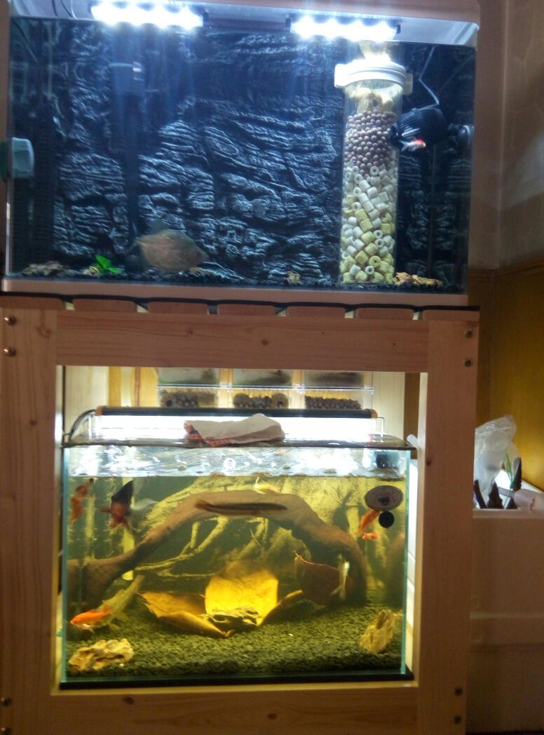 黑工砂 铁胆沙 石子 水族箱造景 鱼缸装饰 乌龟缸底砂 河沙包邮