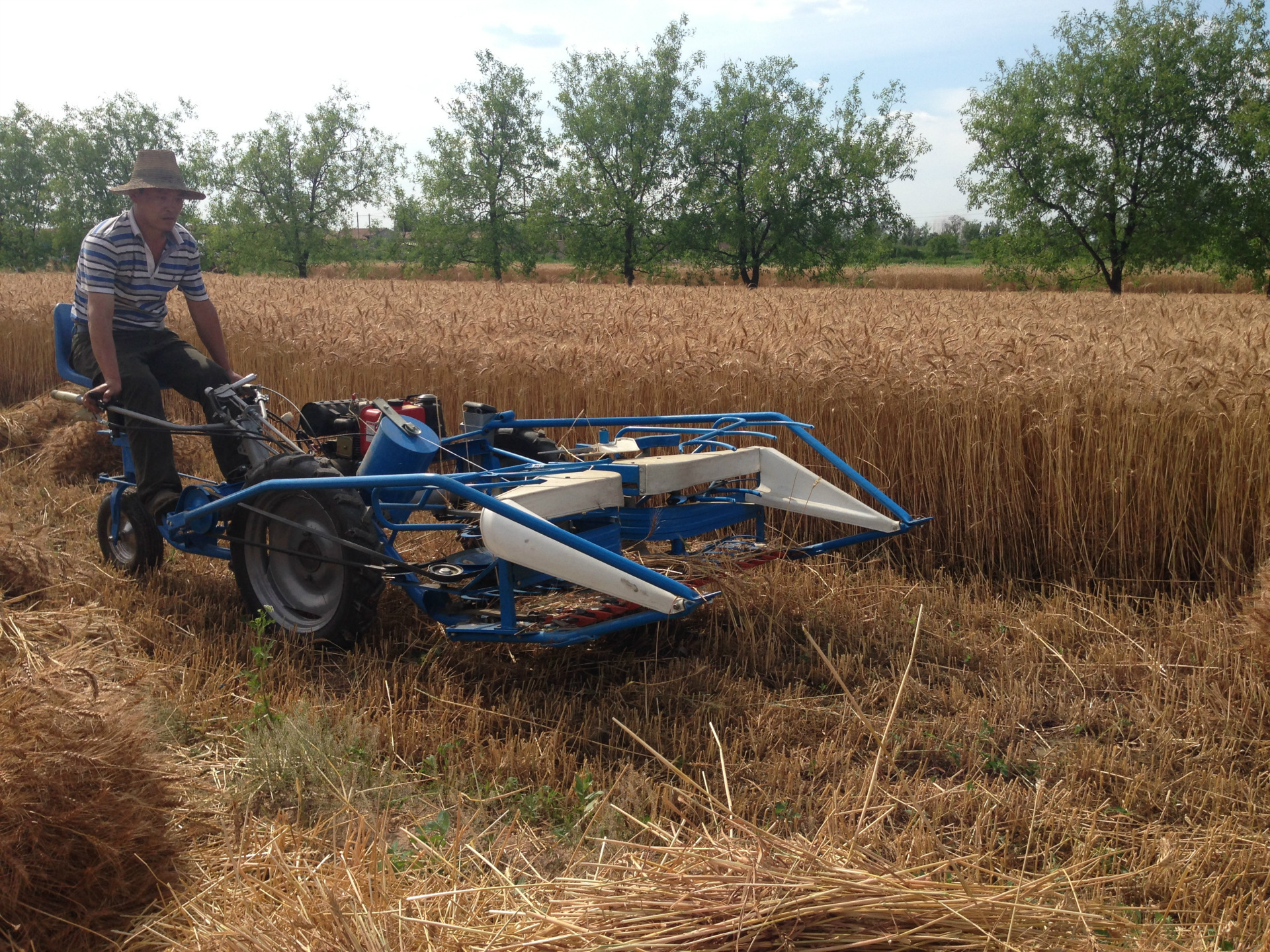 利民河丰牌高效率低价格集收割打捆与一体的多功能割捆机