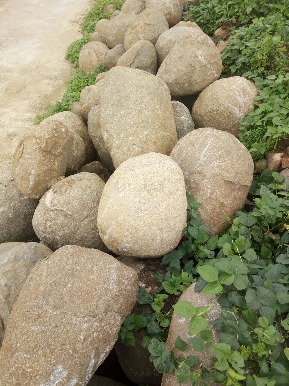 产地直销平顶山市叶县鹅卵石海浪石驳岸石水冲石溪坑石