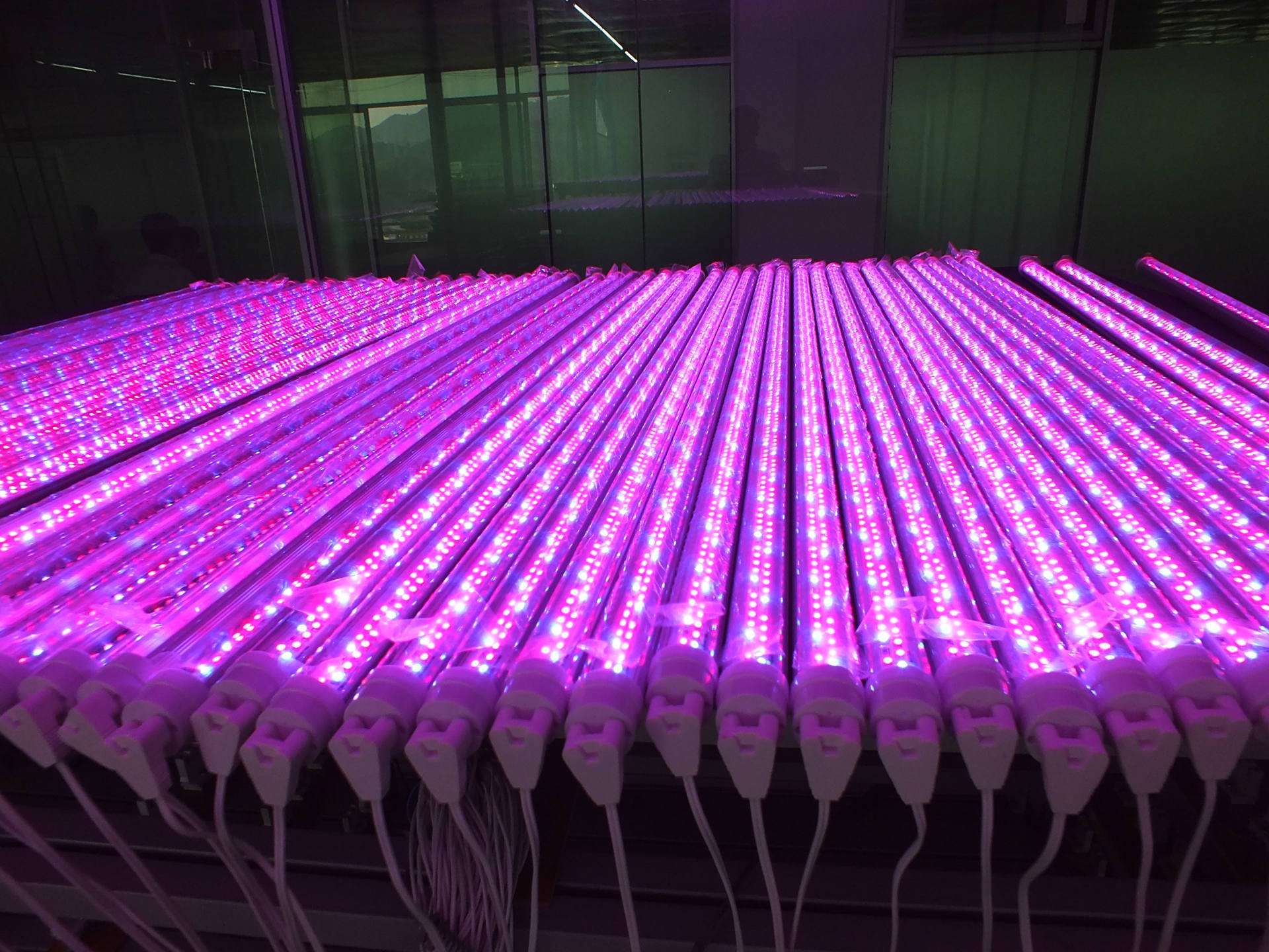 园艺温室大棚植物墙无土栽培室内组培水培led组培灯植物补光灯