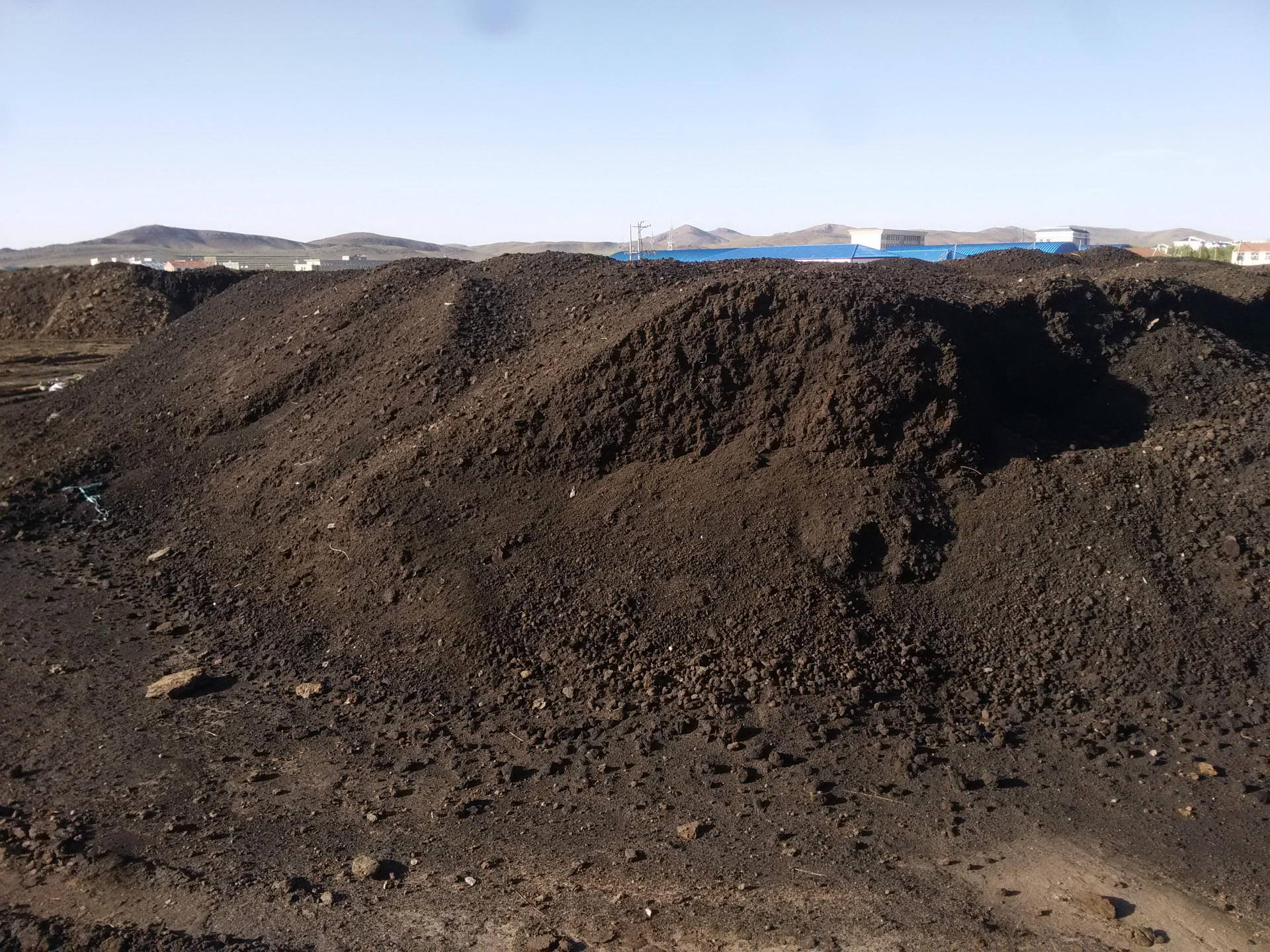 内蒙古羊粪有机肥 发酵型羊粪 羊粪球大量供应