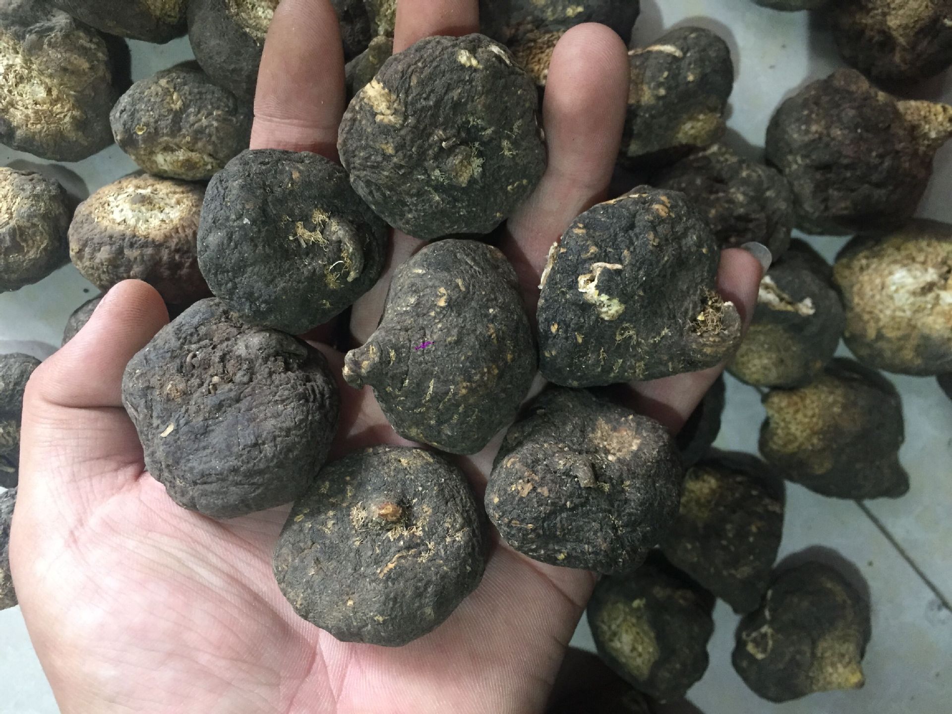 秘鲁黑玛卡一斤价格 包邮