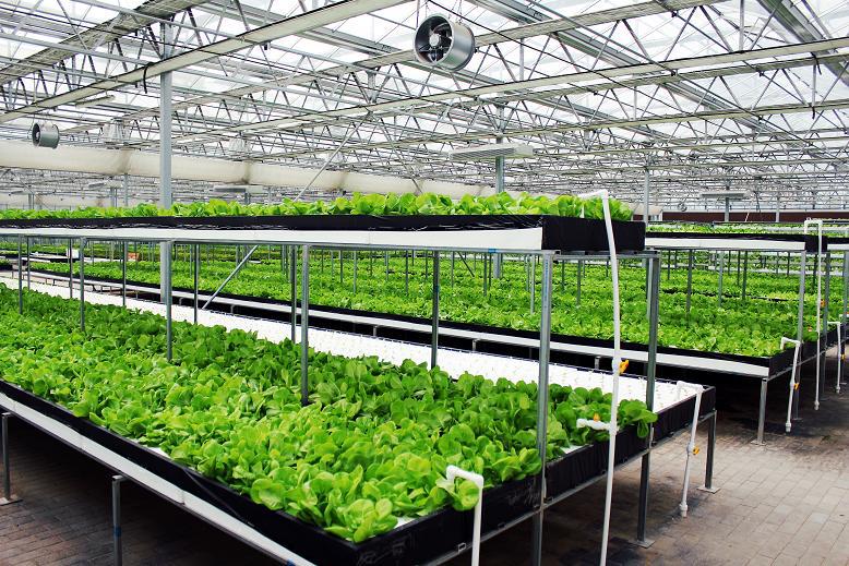 投资「 设施园艺」的七大理由!