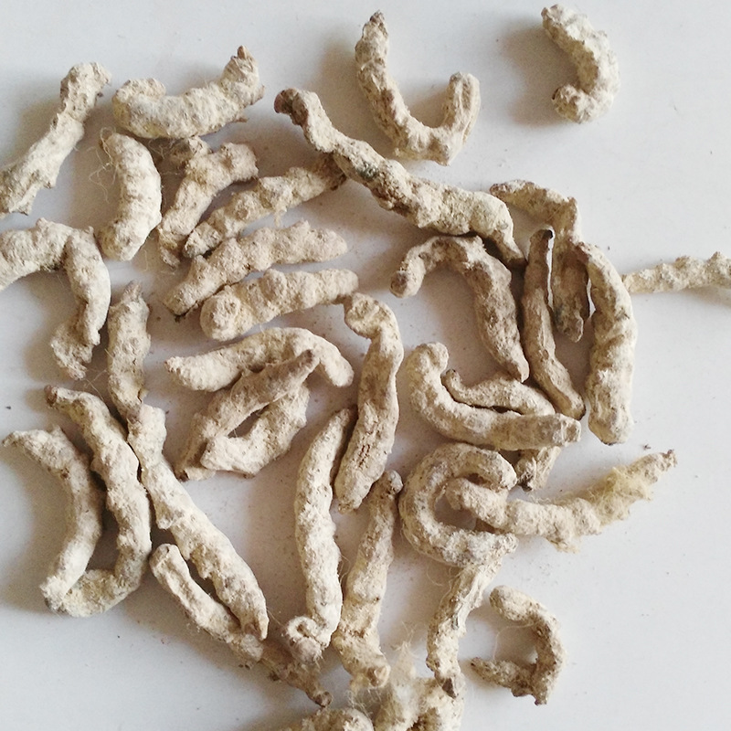 白僵蚕祛风解痉化痰散结清热解毒中药材正品中药厂家供应批发