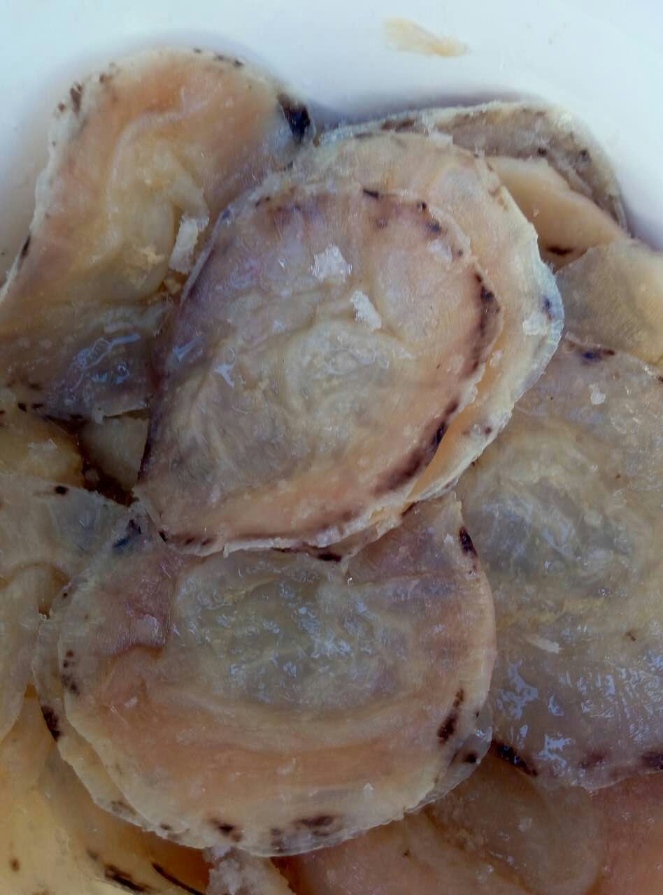 【海珍坊】干帽子皮 野生海蜇 墨西哥海蜇皮 洪都拉斯海蜇皮批发