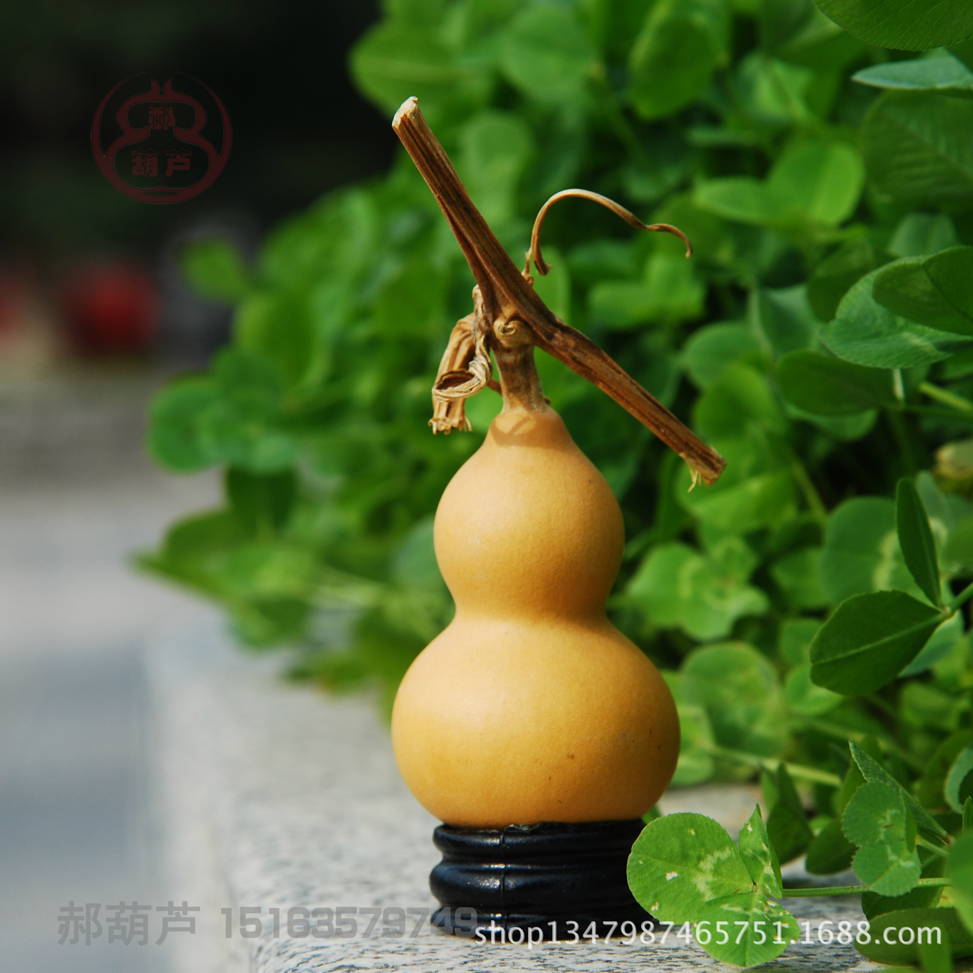 厂家货源种植手捻小葫芦精美文玩把玩带龙头民间工艺品装饰批发